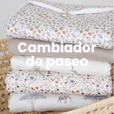 Cambiador de Paseo