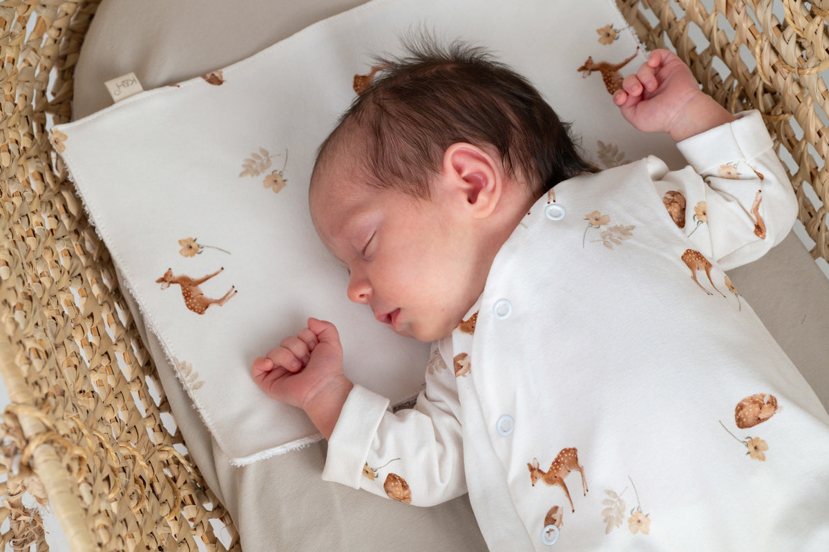 Protector Babitas Little Fawn